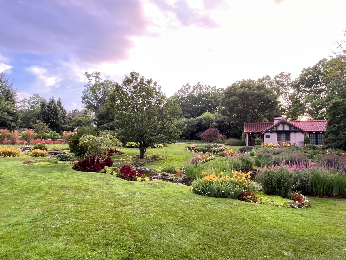 A Risk Oakwood Can’t Afford: Why Sam Dorf’s Record Matters